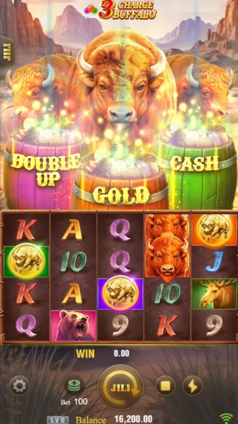 Reel screen with Double Up, Gold and Cash feature labels above it.
